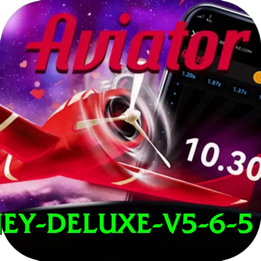 8881 Money Deluxe v5.6.5 - 2
